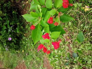 img_20161124_142442