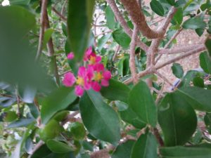 img_20161125_080111